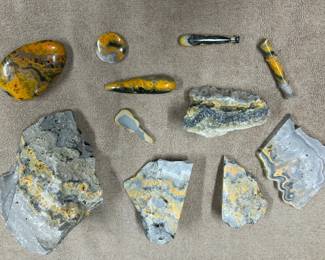 Bumble bee Jasper