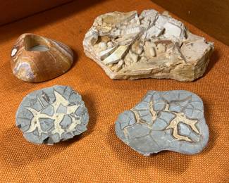 Sandstone carving, Septarian Nodules