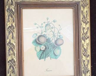 Antique Botanical Print of Strawberries "Fraises" - 1828 Hand Colored Engraving