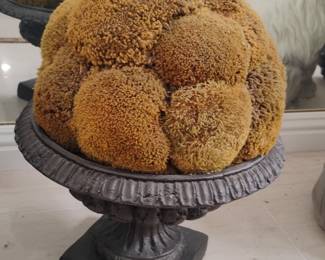 Large Natural Sea Sponge in Urn Planter