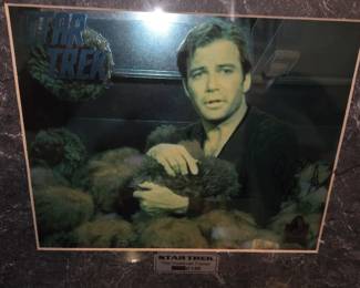 William shatner autograph photo