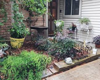 Gorgeous Variety of Potted Plants