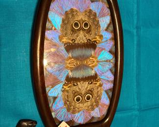 Butterfly wing tray from Brazil