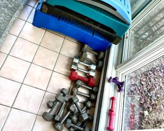 Free Weights & Step Platforms