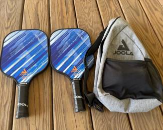 Joola Essentials Pickleball Set