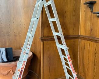 Little Giant Ladder
