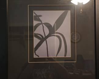 Abstract Botanical Framed Print