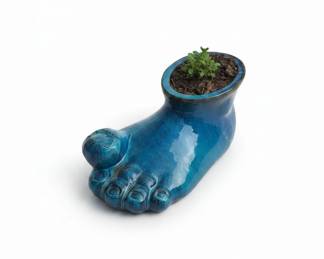 Big Toe Planter