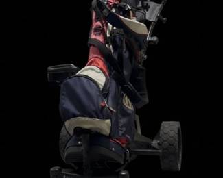 Electric Golf Cart