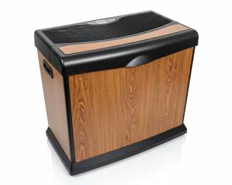 MoistAIR Air Purifier and WindDANCE Window Fans