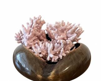 Pink Coral Branches in Ceramic Vase
