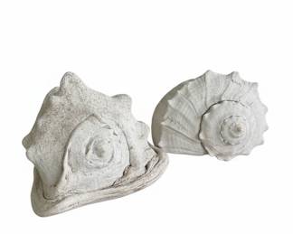 Set of 2 Large Conch Shells (Queen Helmet and Horse Conch)