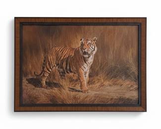 Framed Tiger Print by R. Delongprie