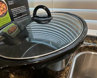 Options MultiCooker or Steamer