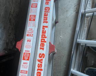 Little Giant Ladder $250