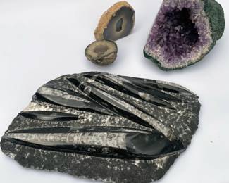 Shop Online 4/17 through April 26, Pickup May 1-2! Shop more items shown on our website: https://tucsonestatesales.square.site/