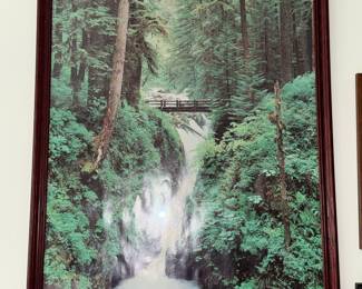Sol Duc Falls, Olympic National Park Print