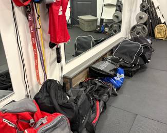 LOTS of Sports/Duffel Bags