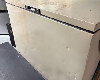 Large Deep Freezer 