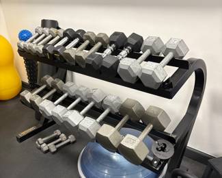 PowerTec Dumbell Rack; LOTS of weighted Dumbells 