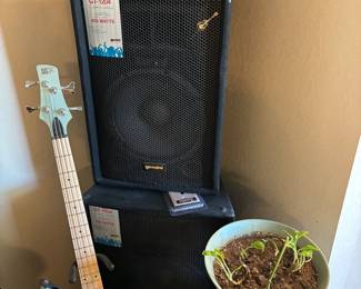 Bass guitar and amps 