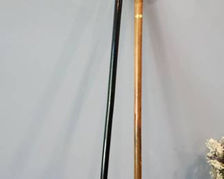 Walking Sticks 19th Century