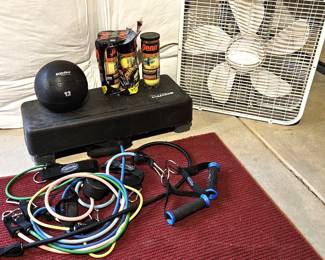  Workout Equipment Lot Step Platform Resistance Bands 12lb Med Ball Tennis Balls Fan