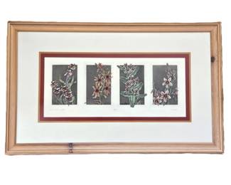 - Framed Botanical Etching Print Wild Flower III J Curtis Signed 12/90 Floral Wall Art