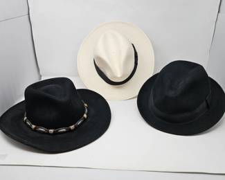 Henschel Hat Co Panama Hat + Bailey Lite Felt Wool Hats Western Fedora Lot