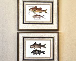 (2) Framed Fish Prints Wall Art Coastal Nautical Decor Matching Set