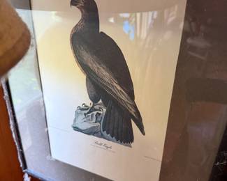 Eagle Print