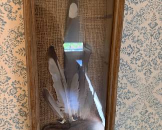 Framed Feather Display