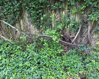 Not easy to see, Antique Plow in there.