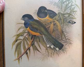 Bird Print