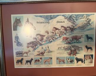 Working Dog Print