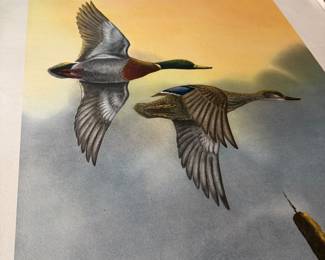 Mallard Print