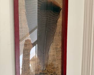 Bird Feathers Framed