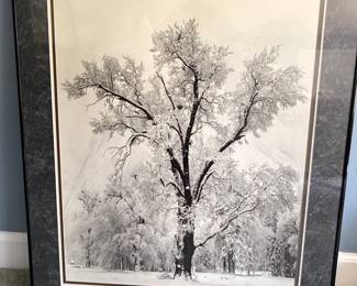 Ansel Adams Framed Photograph, 'Oak Tree, Snowstorm, Yosemite National Park'