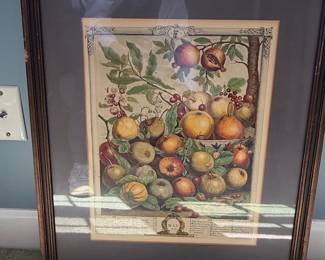 Robert Furber "May" 1732 Botanical Print