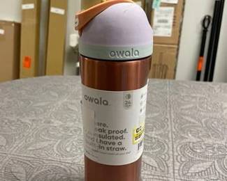 Owala 24oz FreeSip Stainless Steel Water Bottle