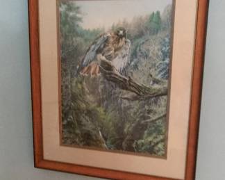 RedTailed Hawk Art Print by Alan M. Hunt