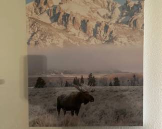 Artist will be able to sign this and one other photo print on site.