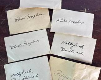 361 sevenvintageseedenvelopespeppergrass