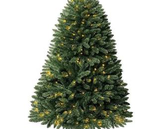 423 naomihomeprague45ftprelitartifici