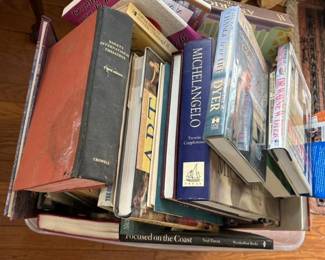 114 largemysterybinofbooksmixedthemes