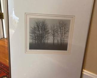 291 20x16framedgatheringtreesblackwhi