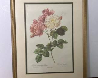 417 framedbotanicalprintrosadamascenace