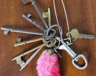 516 vintageskeletonkeyssetwithpinkfur