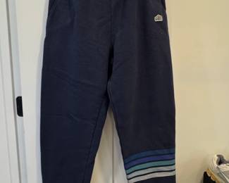 Patagonia Mens Line Logo Ridge Stripe Uprisal Sweatpants