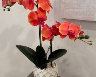 Coral Phalaenopsis Orchid Arrangement in ScalePatterned Pot